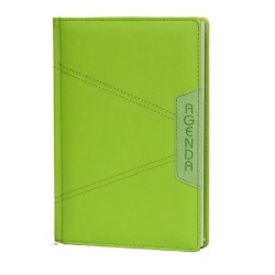 Agenda IB2009D