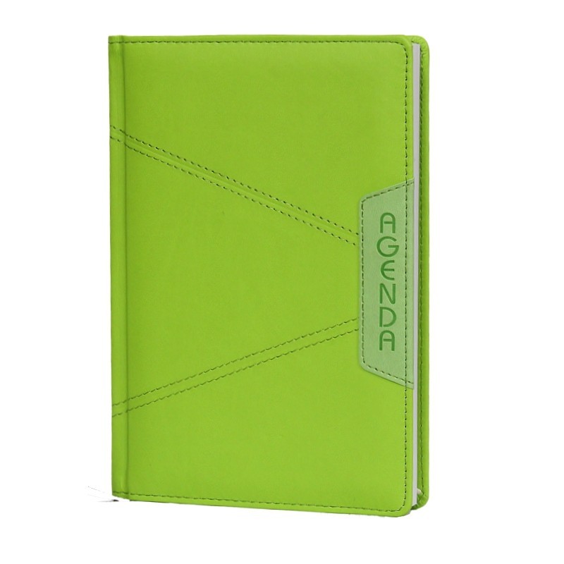 Agenda IB2009D