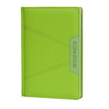 Agenda IB2009D