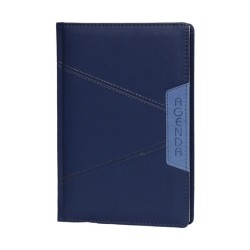 Agenda IB2009D