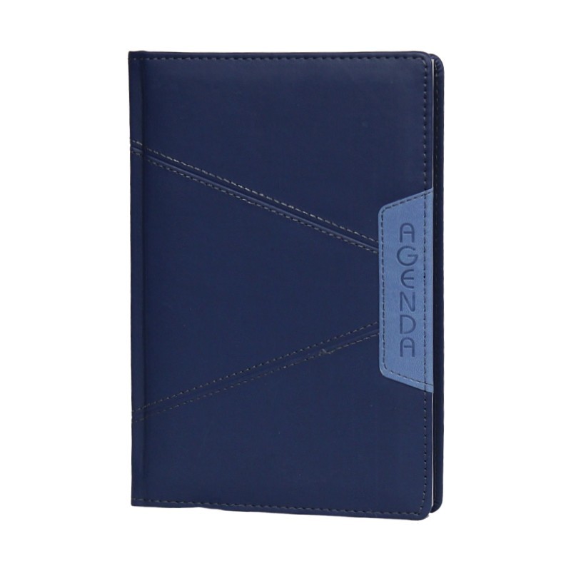 Agenda IB2009D